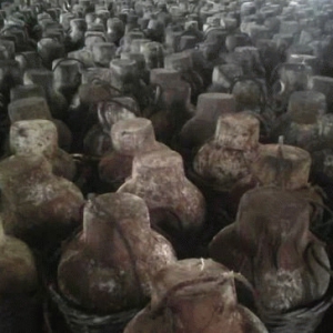 贵州茅台洞藏发霉老酒的制作流程