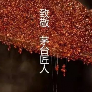 茅台集团调整充实生产一线干部队伍，为打造“千亿茅台”夯实人才基础