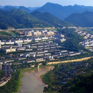 贵州省政府下发关于高卫东等同志职务调整的通知